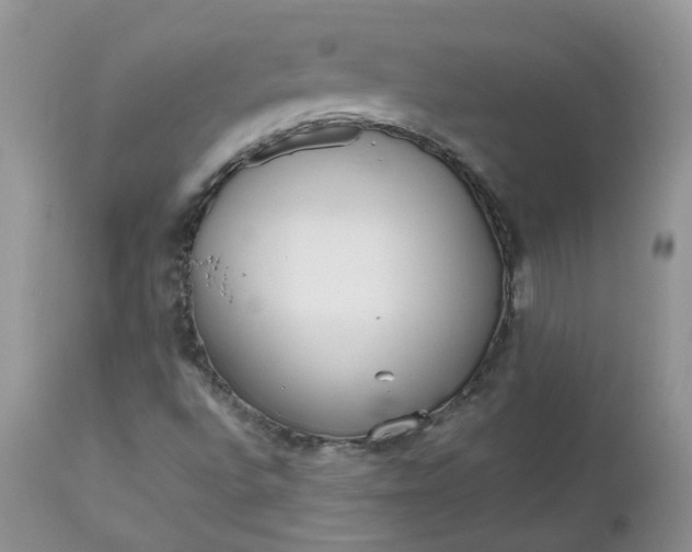 X0000112531496200908311410