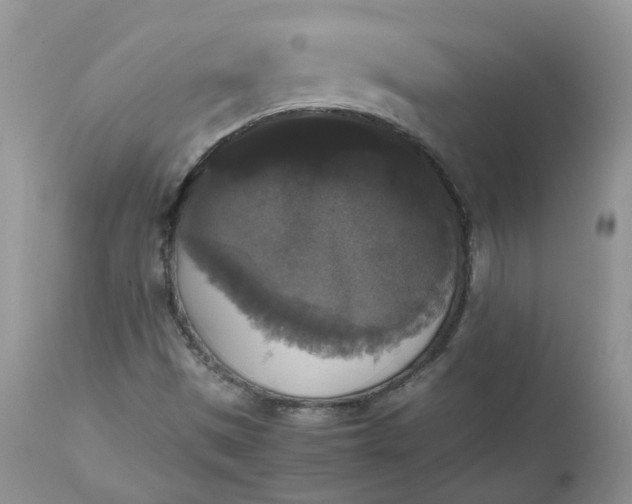 X0000112531497200908311410