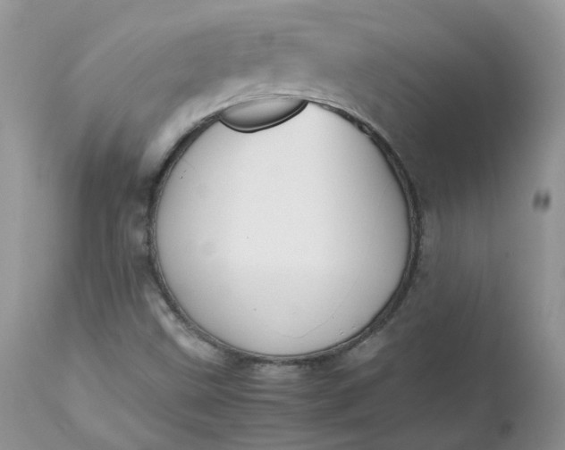 X0000112531499200908311410