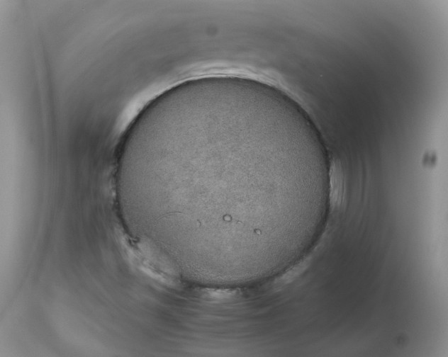 X0000112531501200908311410