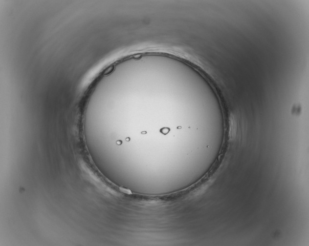 X0000112531502200908311410