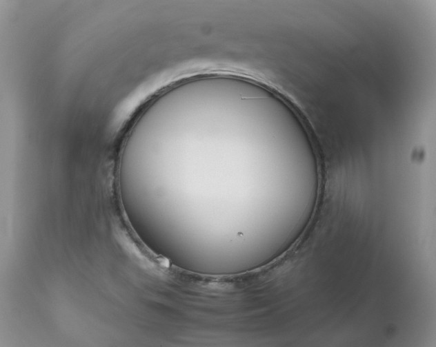 X0000112531503200908311410