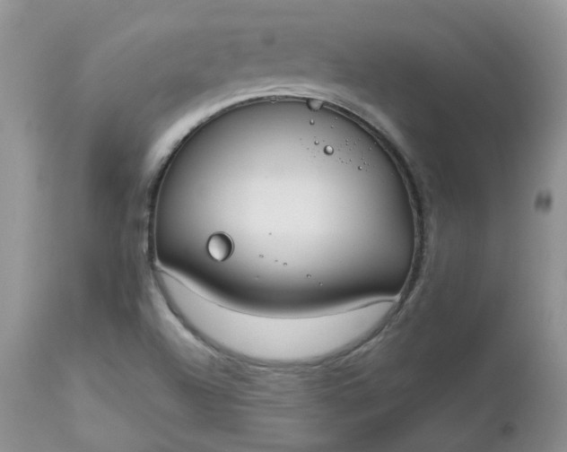 X0000112531504200908311410