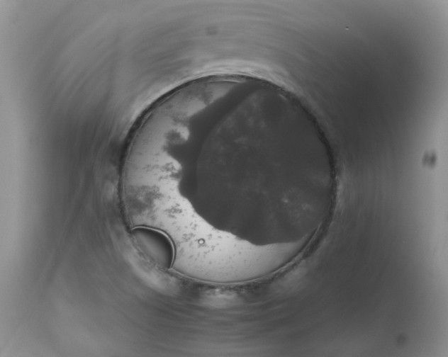 X0000112531505200908311410