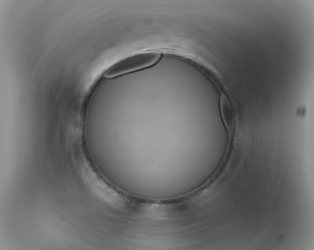 X0000112531506200908311410