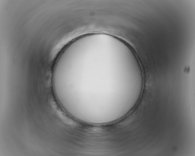 X0000112531507200908311410