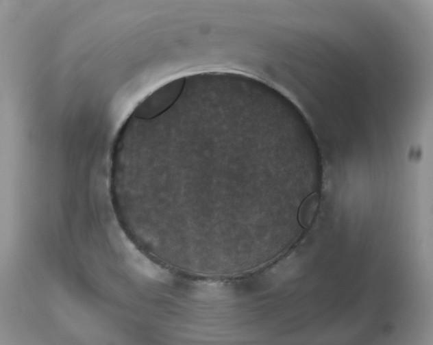 X0000112531508200908311410