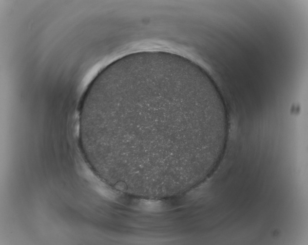 X0000112531509200908311410