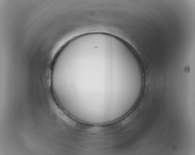 X0000112531510200908311410