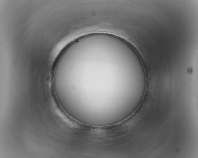 X0000112531511200908311410