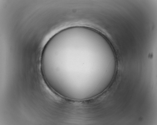 X0000112531512200908311410