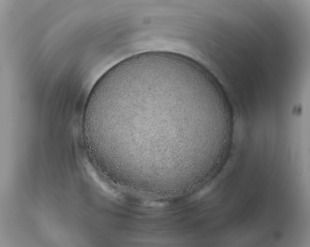 X0000112531513200908311410