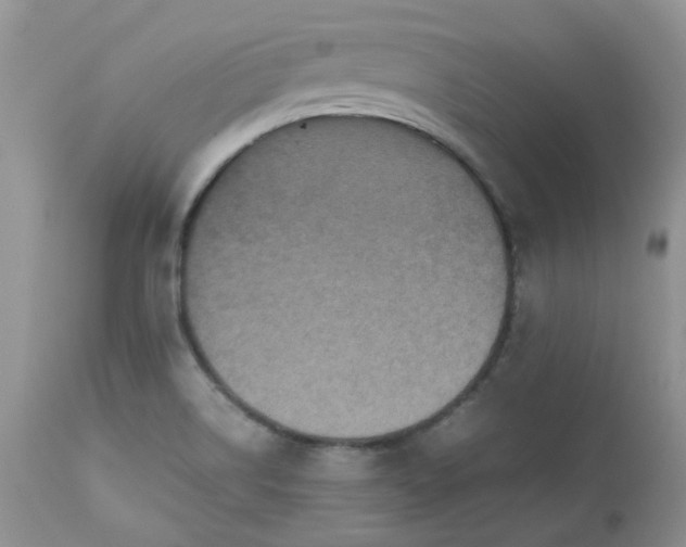 X0000112531514200908311410