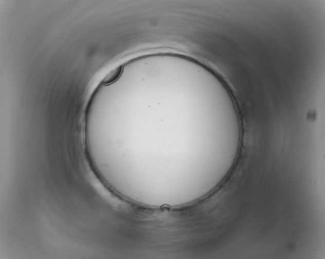 X0000112531516200908311410