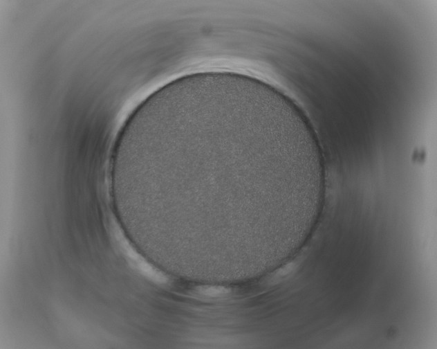 X0000112531517200908311410