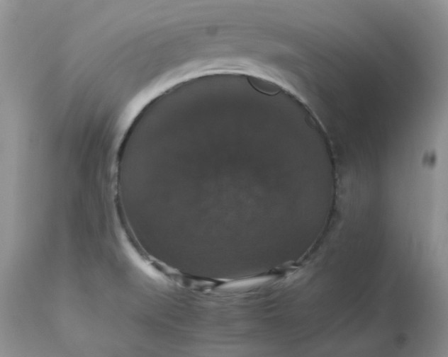 X0000112531519200908311410
