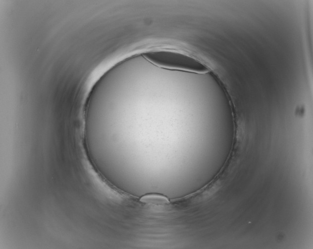 X0000112531520200908311410