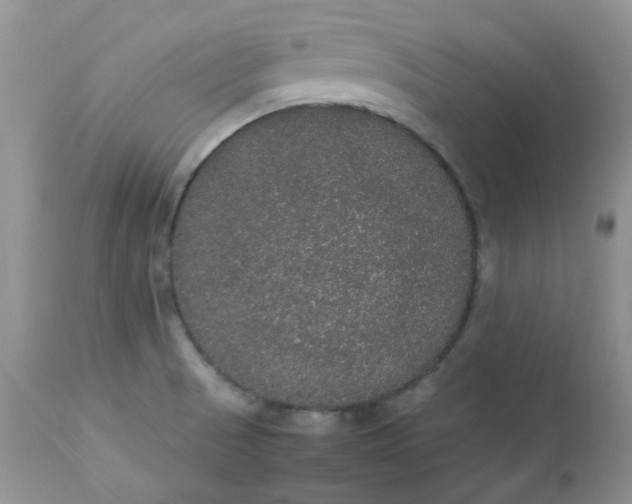 X0000112531521200908311410