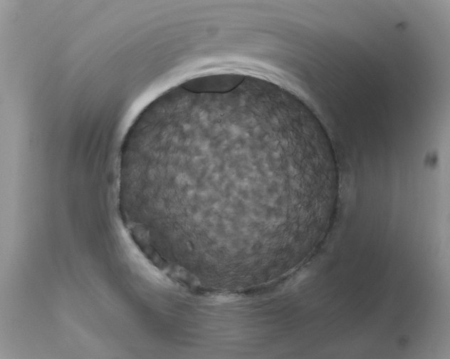 X0000112531522200908311410