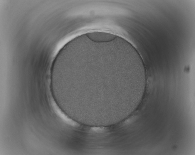 X0000112531523200908311410