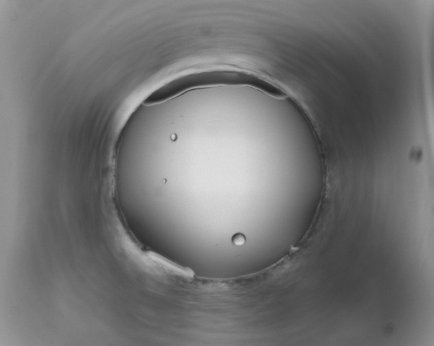 X0000112531524200908311410