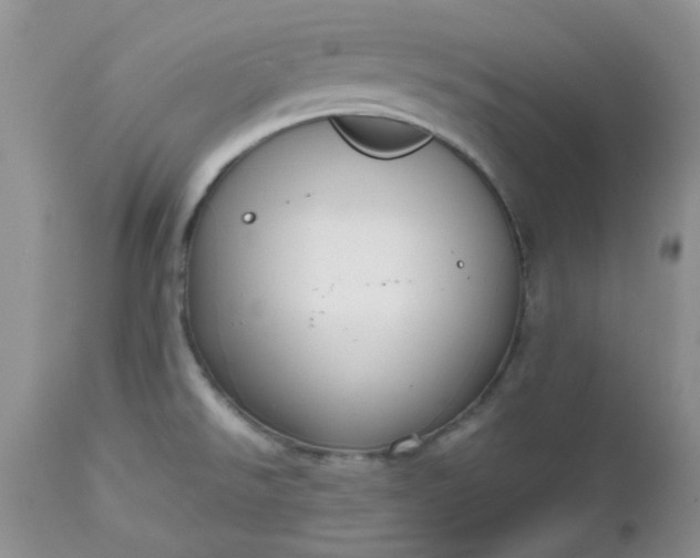 X0000112531526200908311410