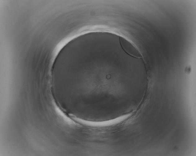 X0000112531527200908311410