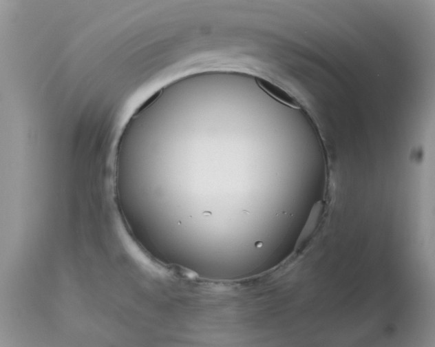 X0000112531528200908311410
