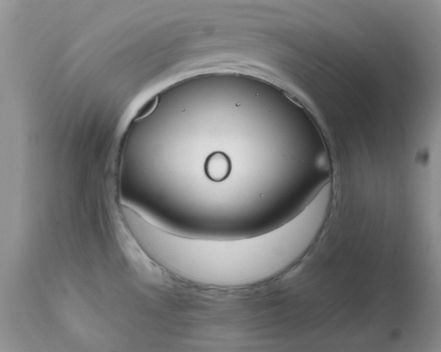 X0000112531530200908311410