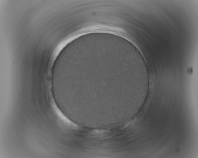 X0000112531531200908311410