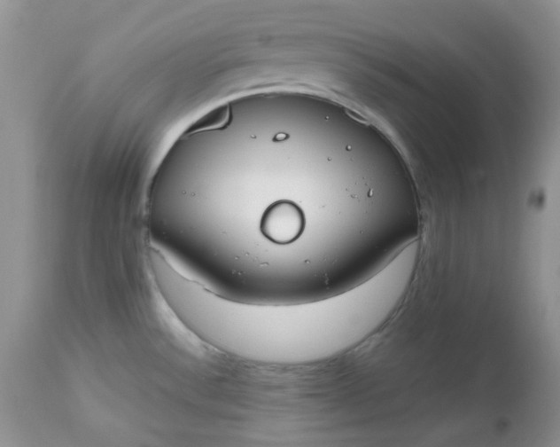 X0000112531532200908311410