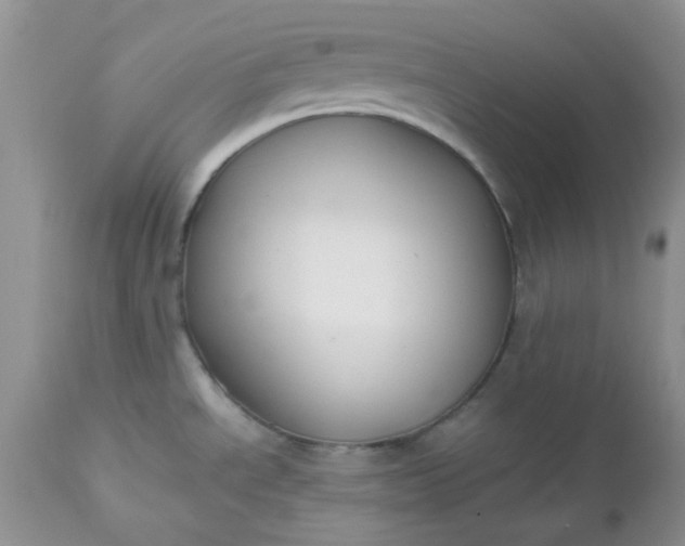 X0000112531534200908311410