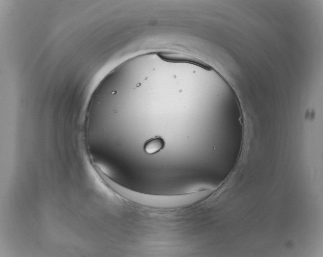 X0000112531536200908311410