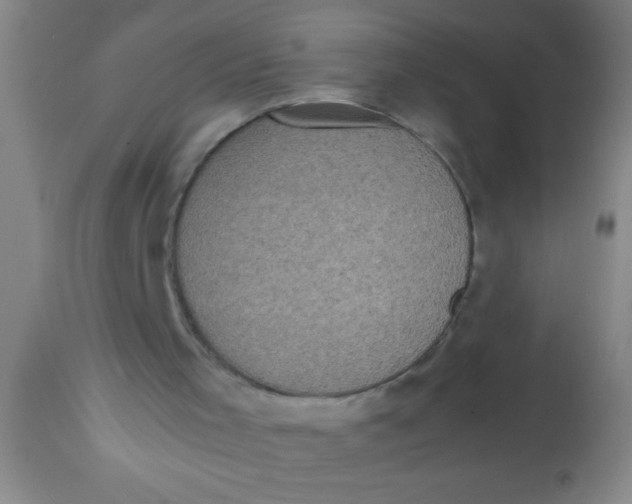 X0000112530001200909071409