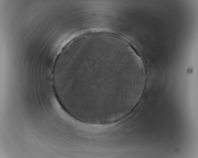 X0000112530002200909071409