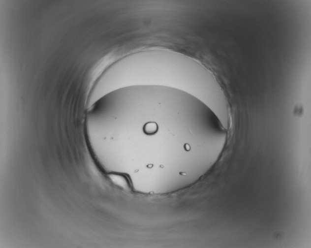 X0000112530003200909071409