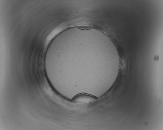 X0000112530004200909071409