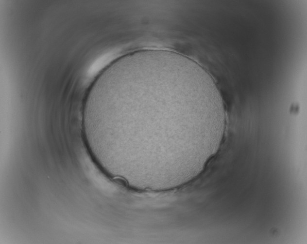 X0000112530005200909071409