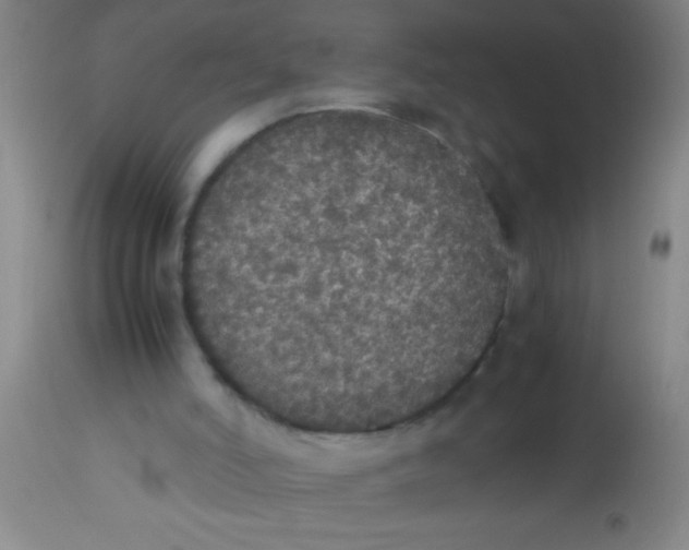 X0000112530006200909071409