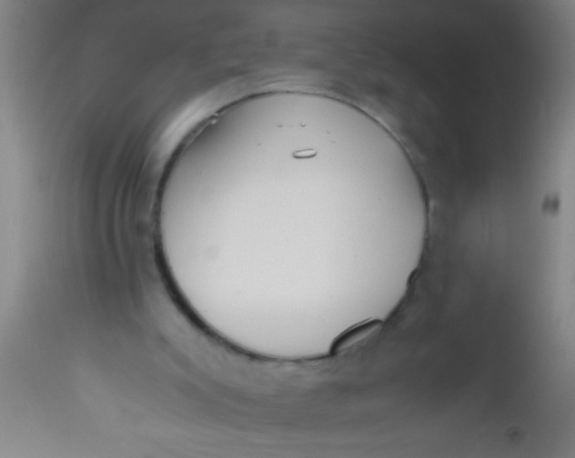 X0000112530007200909071409