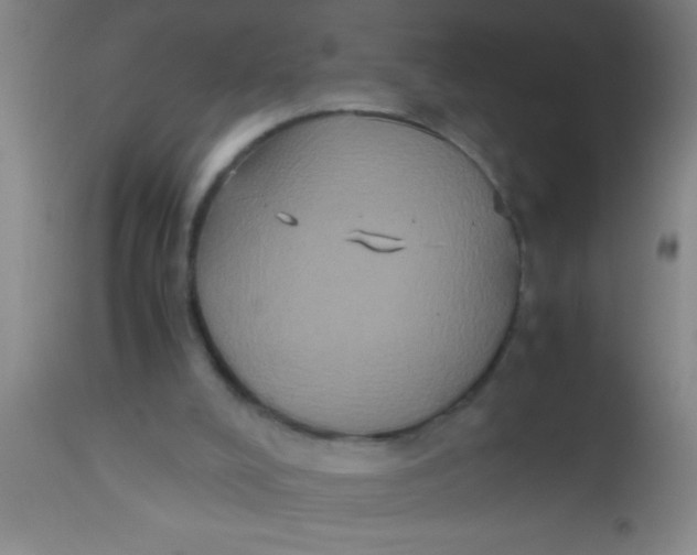 X0000112530008200909071409