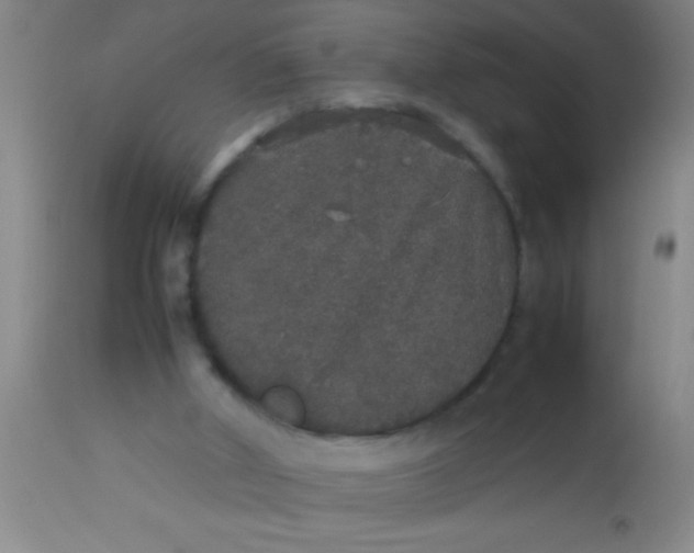 X0000112530010200909071409