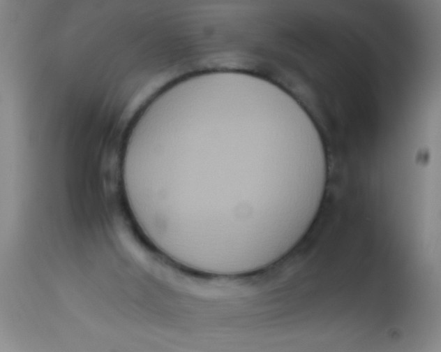 X0000112530012200909071409