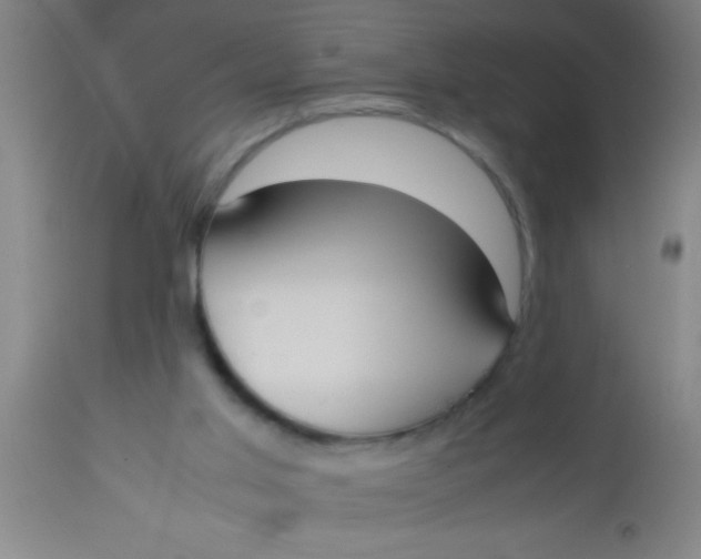 X0000112530013200909071409