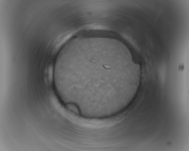 X0000112530014200909071409