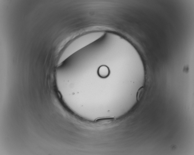 X0000112530015200909071409