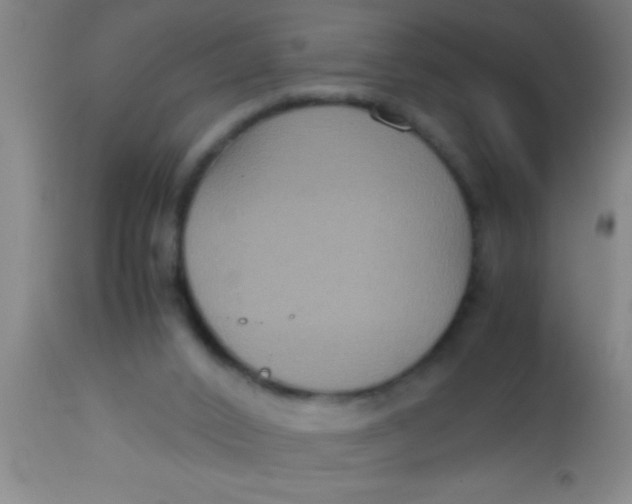 X0000112530016200909071409