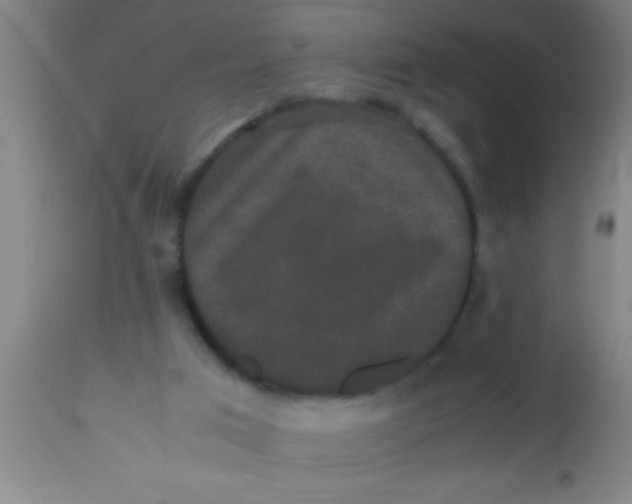 X0000112530017200909071409