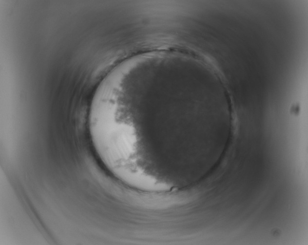 X0000112530018200909071409