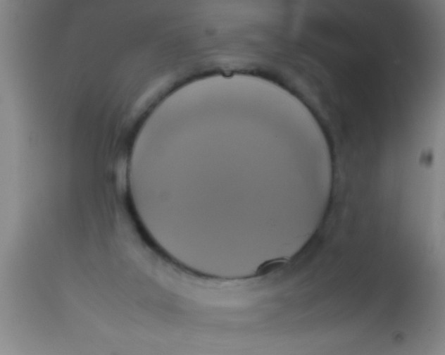 X0000112530019200909071409